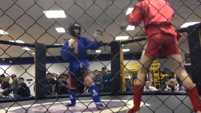 Софиенко Алексей Боевое Самбо смотреть онлайн