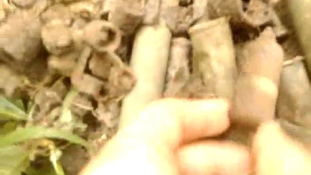 поиск советского самолета.mp4 смотреть онлайн