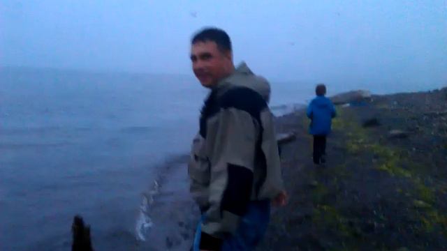 Нерест анчоуса Владивосток смотреть онлайн