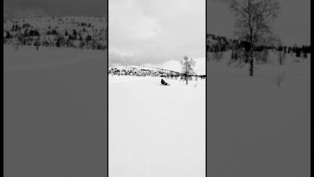 Подарок ? мужчине?, купи горный снегоход ❤️ смотреть онлайн