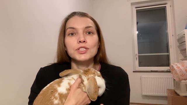 Всемирные друзья