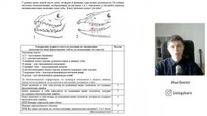 23 задание биология ЕГЭ | Геохронологическая таблица | 2 часть ЕГЭ биология на 100 баллов