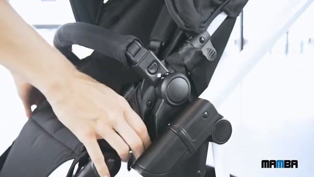 Коляска 2 в 1 FD-Design Mamba смотреть онлайн
