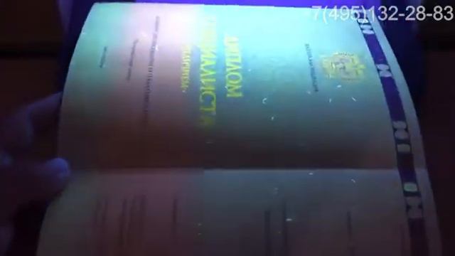 Диплом специалиста с отличием смотреть онлайн