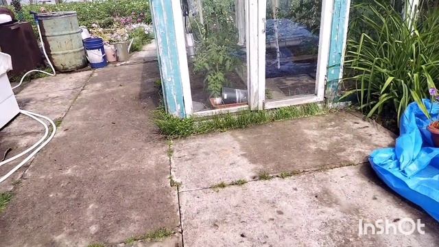 Стены в гараже утеплили,осталось провести освещение смотреть онлайн