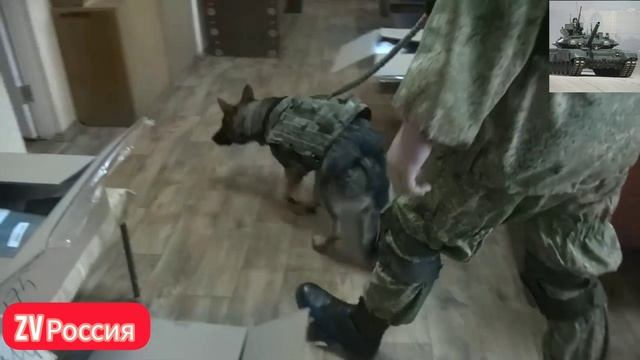 Российские саперы обследуют избирательные участки ЛНР на наличие взрывоопасных предметов