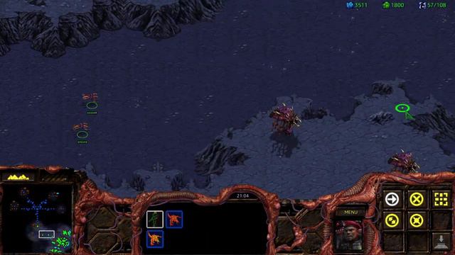 Starcraft Broodwar The Queen Of Blades 07 Drawing Of The Web.