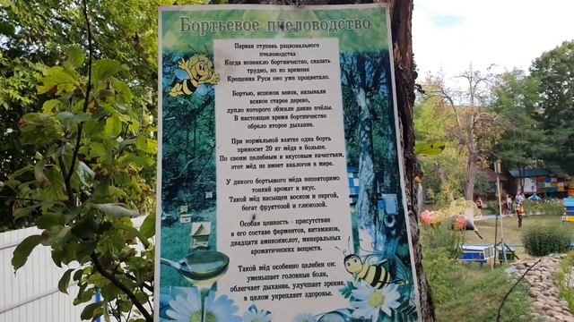 Пасека - хутор Горный, Новороссийск 2020 смотреть онлайн