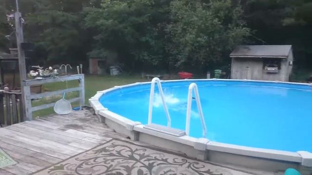 Do a backflip смотреть онлайн