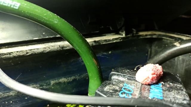 Аквариумы, подмена воды и что нового на разводне. Малек, Грунт, Рыбки, корм. смотреть онлайн