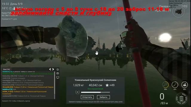 fishing planet калифорния уникальный красноухий солнечник 2016 смотреть онлайн