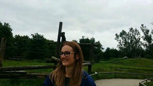 Всей семьёй. Сафари парк Дания Safaripark Danmark Givskud Zoo