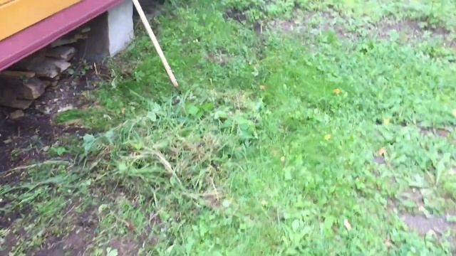 Дача. Наводим красоту. Красим смотреть онлайн