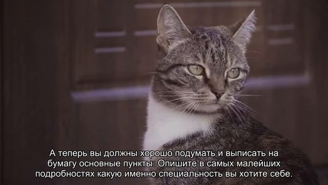 Заговор чтобы позвонили по работе читать самостоятельно смотреть онлайн