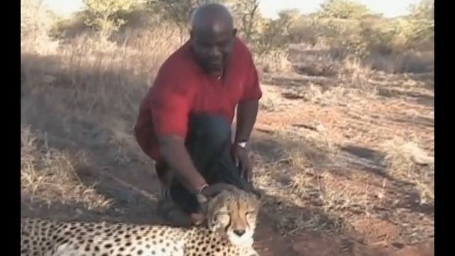 Nikita and Cheeta.wmv смотреть онлайн