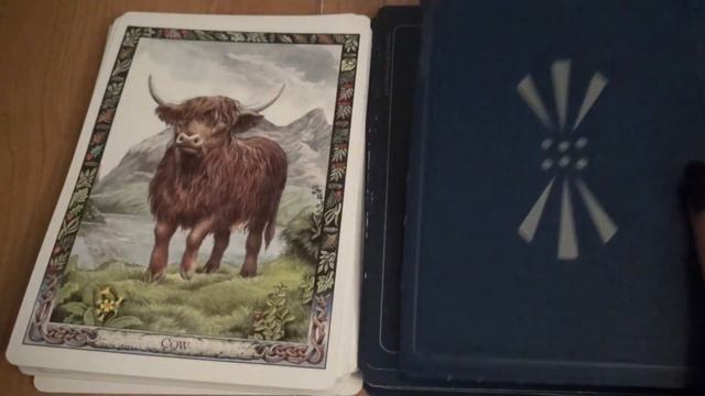 ??? The Druid Animal Oracle Quick Flip Through All Cards смотреть онлайн