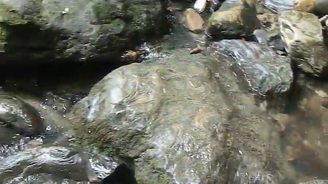 лазаревское(волконское ущелье).MOV смотреть онлайн