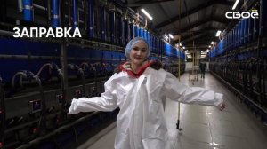 Я НЕ МЕСТНАЯ / КОЗЫ / СЕЛО НАДЕЖДА / СТАВРОПОЛЬСКИЙ КРАЙ / СЫР