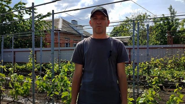 Ответы на часто задаваемые вопросы подписчиков.WhatsApp 89885453295 смотреть онлайн