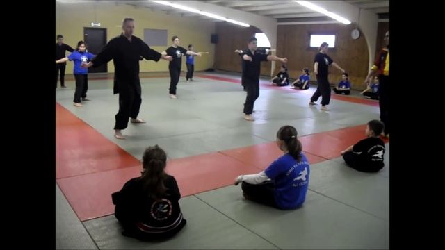 Kung Fu Toa Belgie ALI CETIN Maasmechelen Trainingen
