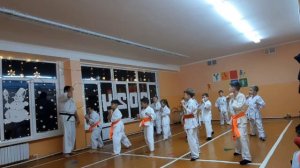 ТРЕНИРОВКА. КАРАТЭ.  6-8 ЛЕТ.
