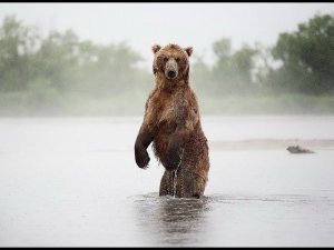 Дивная."Моя земля". Муз. - П.Ермишев, сл. - М.Суворов.Исп. - Ирина Ручкова.