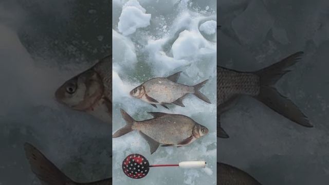 Наконец то повезло ? смотреть онлайн