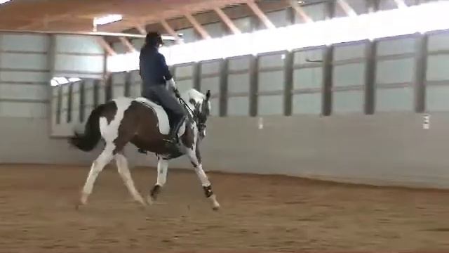 Clinic with Bonny Bonnello, March 2014 (Elvis 5 YO) смотреть онлайн