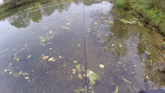 Октябрьский микроджиг. Меняю акватории в поисках рыбы. Team Dubna Backwater