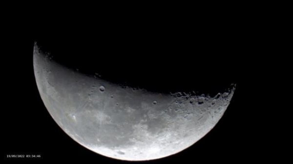 Moon Spies Moon Pies - 4K Live Moon and Orion Nebula M42 on the 11"