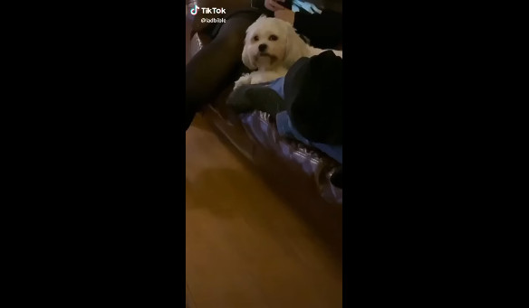 Улыбочку! смотреть онлайн