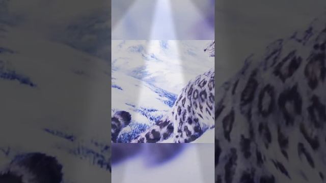 Мой клип про снежного барса ? не судите строго пожалуйста) смотреть онлайн