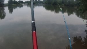 САЗАН РАДУЕТ ПОКЛЁВКАМИ! Ловля САЗАНА на КУКУРУЗУ.