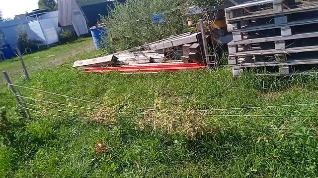 ОБЗОР НА НАШ УЧАСТОК В ДЕРЕВНЕ КИСЛЯКОВО (19соток) смотреть онлайн
