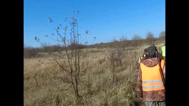 Загонная охота на лося или из болота тащить бегемота смотреть онлайн