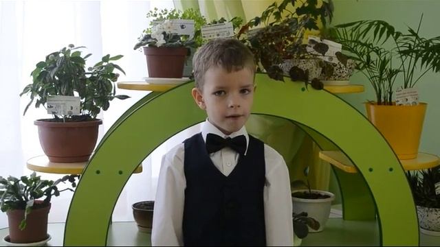 В. Берестов «Где право, где лево» смотреть онлайн