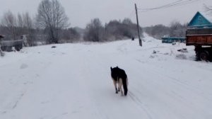 миниснегоход бурлак