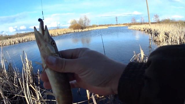 Отличный клев щуки. Спиннинг на реке ранней весной смотреть онлайн