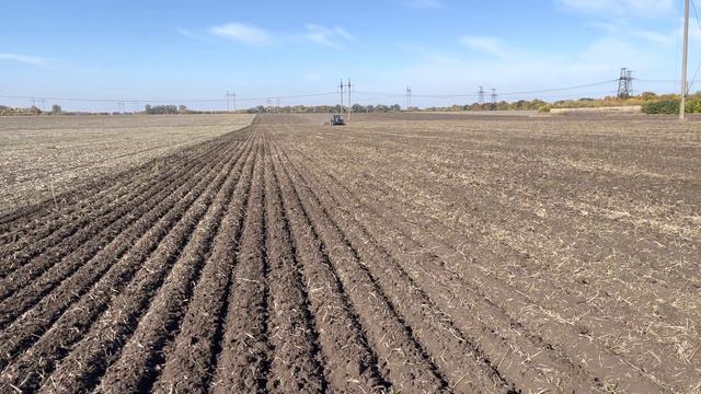 Посев пшеницы анкерной шиной 35 ст сеялкой хорш фокус с New Holland Т 8050 смотреть онлайн