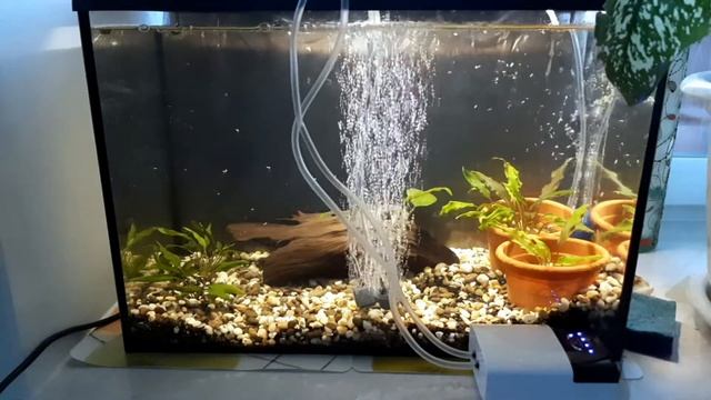 обзор автономного аквариумного компрессора SOBO sb-268 смотреть онлайн