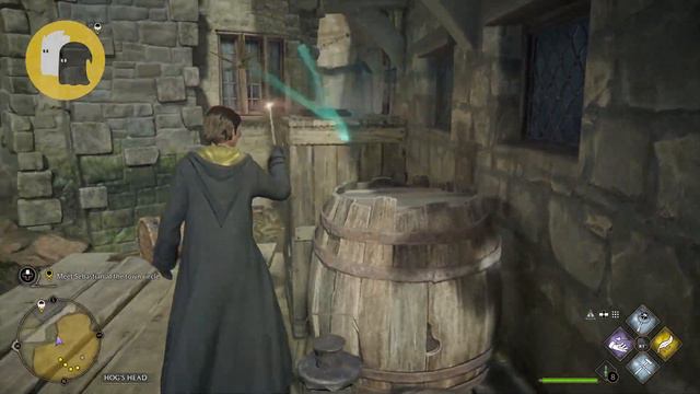Hogwarts Legacy West Hogsmeade Moth to Frame Puzzle Near Dock Location & Solution смотреть онлайн