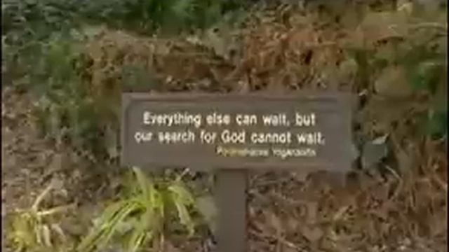 The Elvis Mob ~ Documentary смотреть онлайн