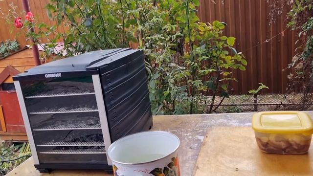 Сушим виноград.Готовим картофель с мясом.