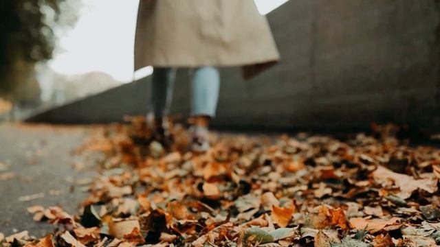 Стих со смыслом Спроси себя Автор Владимир Соколов смотреть онлайн