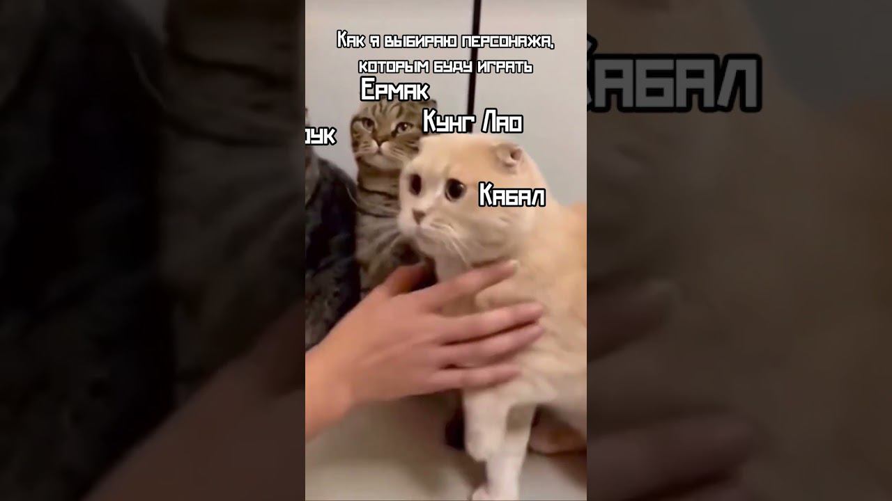 Сложный выбор #shorts #video #cat смотреть онлайн