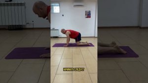 Упражнение птица-собака