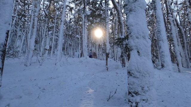Гора Голец без зимней сказки, но с видами. смотреть онлайн