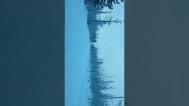 7 апреля 2017 г. смотреть онлайн