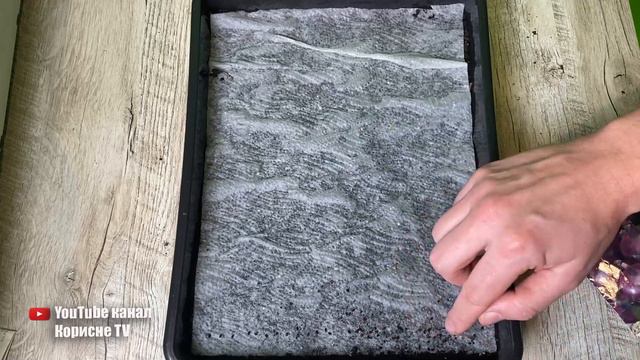 Сію цибулю тільки цим способом, завжди з урожаєм великої цибулі смотреть онлайн