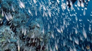 ДАХАБ. Часть 1-я